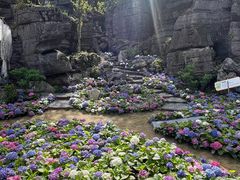 -梭布垭石林景区