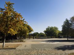 -太阳宫公园