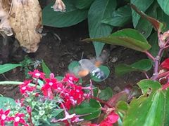 -金石唐风国际温泉会馆