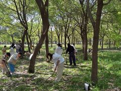 -嘉北郊野公园
