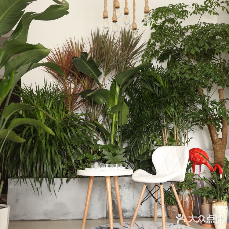 观音桥步行街商圈网红民宿