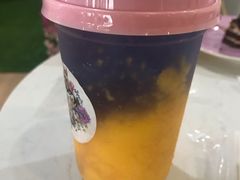 -Husky Go! 哈士奇体验馆·宠物咖啡厅狗咖