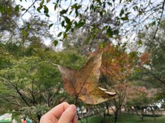 -岳麓山风景名胜区