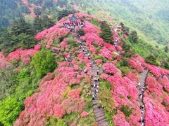 -木兰云雾山