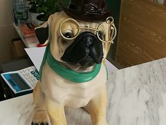 -菲尔斯特宠物医院