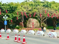 -野狸岛