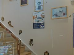 -Pets First伊珊娜洗护·精致美容·家庭式寄养(新会路店)