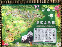 -海南热带野生动植物园