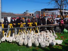 -辛庄国际文化艺术区