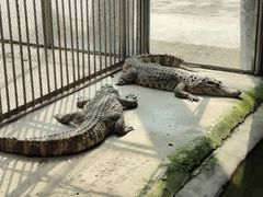 -秦皇岛野生动物园
