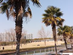-白塘生态植物园