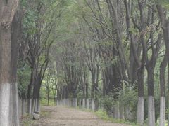 -北京西山国家森林公园