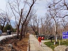 -阳台山自然风景区