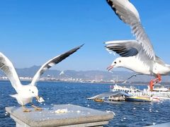 -海埂大坝