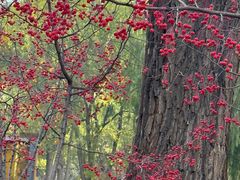 -西宁市人民公园(城西区)