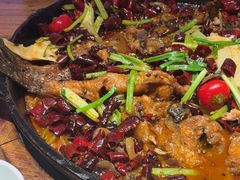 -老板恋上鱼(恒隆广场店)