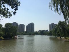 景点-紫竹院公园冰场