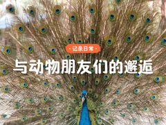 -五龙山野生动物王国