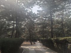 -清西陵