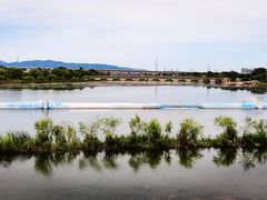 -青龙湖公园