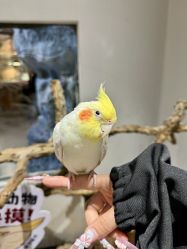 -Zoolung Zoolung动物主题公园(海信广场店)