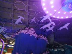 -烟台海昌鲸鲨海洋公园