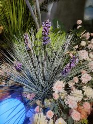 -酷嗒动物文化乐园(cutezoo西溪乐天城店)