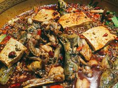 经典美蛙鱼混合锅-呱呱叫民俗风味主题餐厅(沣峪口店)