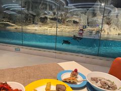 -帝企鹅自助餐厅•儿童岛•真企鹅(长隆企鹅酒店)