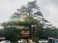 -南京钟山宾馆(江苏省会议中心)