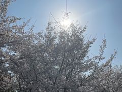 -堤角公园