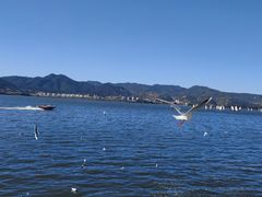 -滇池海埂公园