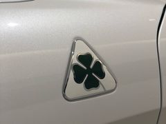 -上海保利玛莎拉蒂和阿尔法罗密欧(华翔路店)