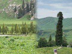 -新疆那拉提国家旅游度假区