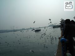 conew_img_3110-栈桥景区