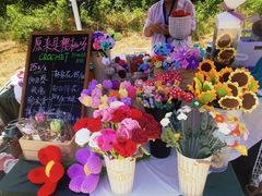 -红岛休闲渔村