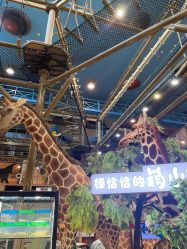 -卡通尼·Safari非洲探索乐园·生日会(金桥国际商业广场店)