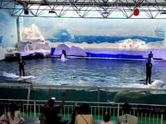 -秦皇岛乐岛海洋王国