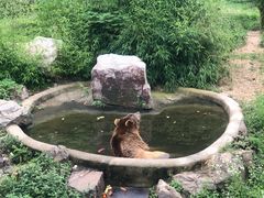-无锡动物园·太湖欢乐园