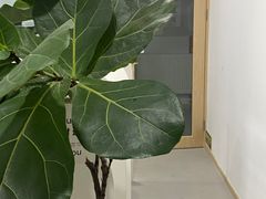 -竹川学社·自助沉浸自习室(海淀黄庄店)