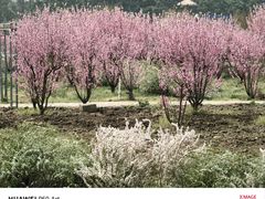 -嘉北郊野公园