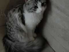 -艾贝尔宠物诊疗