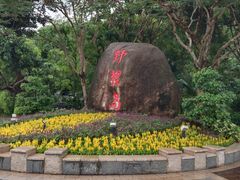 -野狸岛