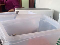 -点都德(广州白云山景区南门店)