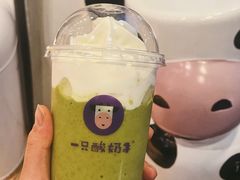 -一只酸奶牛(八一路店)