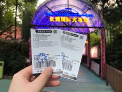 -广州长隆国际大马戏