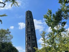 -上海佘山国家森林公园天马山园