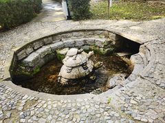 -中华三祖圣地黄帝城遗址文化旅游区
