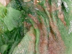 -鸿图茶餐厅•27年老字号(云峰花园店)