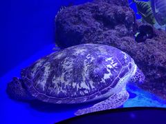-成都浩海立方海洋公园